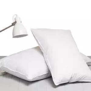 Lifson Products Goose Feather Pillow