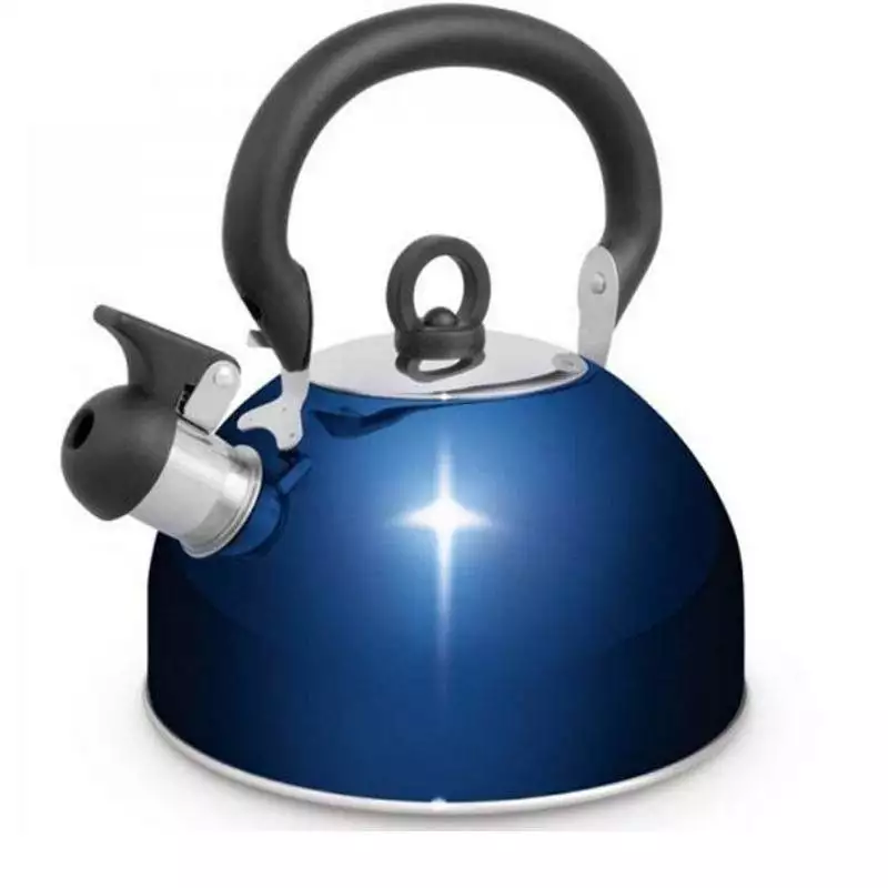 Campfire Stainless Steel Whistling Kettle 2.5L – Blue