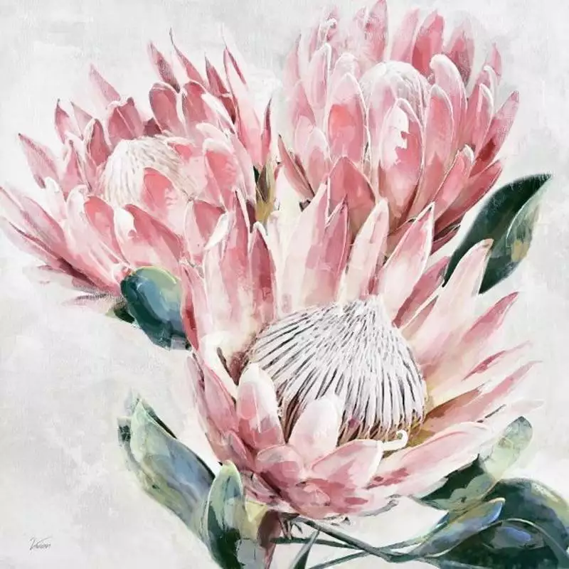 Canvas Protea