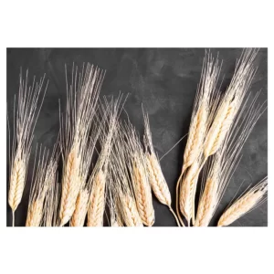 Wheat On Powder Black Rectangular Placemat
